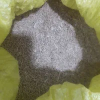 گندم بذری پیشگام وآذر 2 و گندم قرمز|خدمات باغبانی و درختکاری|قوچان, |دیوار