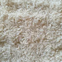 برنج‌فجر‌سوزنی