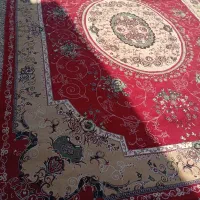 فروش انواع فرش دست دوم|فرش|کوه چنار, |دیوار