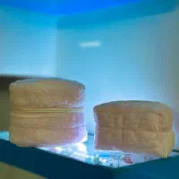 بگ ارایشی تدی