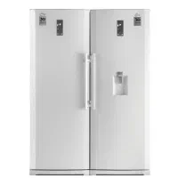 یخچال فریزر دوقلوی کلور سیلور(نقره ای)