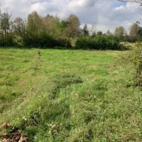 زمین مسکونی زراعی لولمان رودبارکی طارمسر|فروش زمین و ملک کلنگی|لولمان, |دیوار