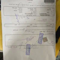 موتور سیکلت پرواز طرح ویو|موتورسیکلت|تهران, مشیریه|دیوار