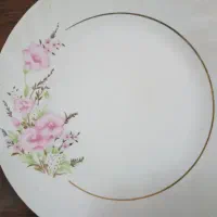 برنج خوری وطرف برای میوه