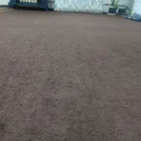 گلیم فرش و موکت پالاز|موکت|ایلام, |دیوار