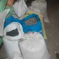 دانه افتابگردان