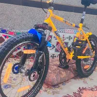 دوچرخه اساک