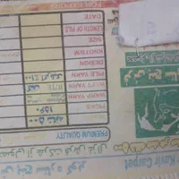 دو جفت فرش ۵۰۰ شانه|فرش|ارومیه, |دیوار