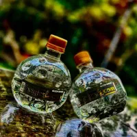 اعطای نمایندگی محصولات زیبال نوش|خوردنی و آشامیدنی|شیراز, سرو|دیوار