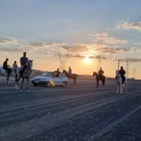 آموزش سوارکاری، گشت و طبیعت گردی با اسب