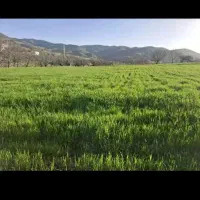 زمین کشاورزی ریخلان روی جاده گاز
