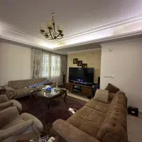 ۱۷۰متر۳خوابه تکواحدی خیابان دولت دنج و بدون خرج|فروش آپارتمان|تهران, قلهک|دیوار
