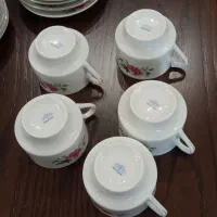 گلسرخی های ماندگار