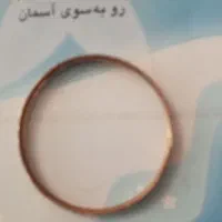 دوعدد النگو طلا گم شده درمحدوده بازار گم شده