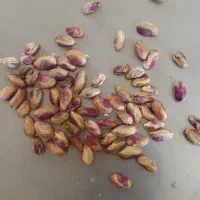 پسته عمده|خوردنی و آشامیدنی|تهران, بازار|دیوار