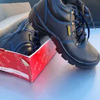 پوتن  کار درجه یک و با کیفیت