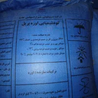 کوداوره‌شیرازدانه‌ریز