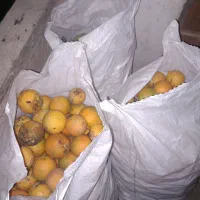 نارنج|خوردنی و آشامیدنی|رشت, شهرک صبا|دیوار