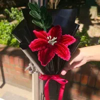 گل لیلیوم تک شاخه پیپ پاکنی