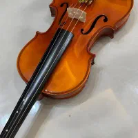 ویولن کارل هافنر