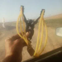 تیرکمان یا همون پلخمون|تجهیزات ورزشی|سلیمان, |دیوار