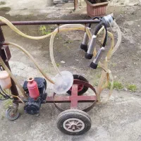 شیردوش تک واحد