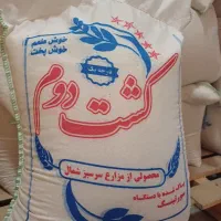 برنج طارم کشت دوم درجه یک شمال