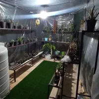 قفسه گل خانه|فروشگاه و مغازه|مرودشت, بیست متری بیمارستان|دیوار