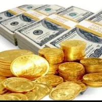 کار در خانه آنلاین  برای همه سنین