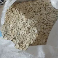 فروش تخمه کدو خوب