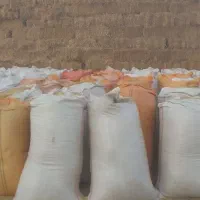 کاه نرم درجه ۱ گندم|حیوانات مزرعه|گنبد کاووس, |دیوار