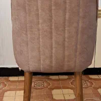 ۶ عدد صندلی|میز و صندلی غذاخوری|رشت, حمیدیان|دیوار