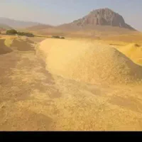 خریدار کاه کاهکوب