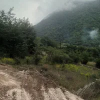 ۸۰۰ مترمربع زمین چالسیو لزیر رویان|فروش زمین و ملک کلنگی|رویان, |دیوار