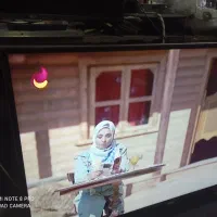 ال ای دی 55اینچ مارشال