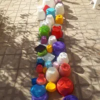 گلدان پلاستیکی وسفالی|گل و گیاه طبیعی|شاهین‌شهر, فردوسی|دیوار