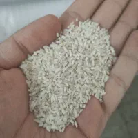 برنج سرلاشه محلی دورود عطری|خوردنی و آشامیدنی|بروجرد, |دیوار