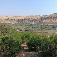 باغ لیمو|فروش زمین و ملک کلنگی|بوستان, |دیوار