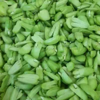 باقالی سبز نیشابور درجه  یک