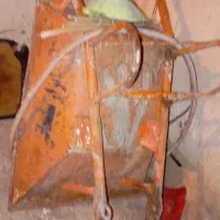 میز،گاری