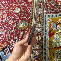 شیامی نوت ۱۳   4G|موبایل|تهران, شهرک رضویه|دیوار