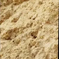 کاه گندم دیم