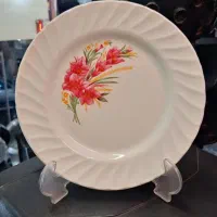 بشقاب غذا ۶عدد ۳۰۰تومن