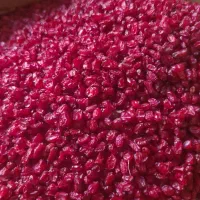 زرشک|خوردنی و آشامیدنی|تهران, قیام|دیوار