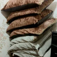 تشکچه نشیمن