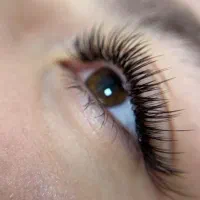 دیدار۲۰درصدی