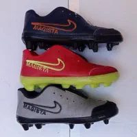 کفش لوتوس|کیف، کفش، کمربند|صومای برادوست, |دیوار