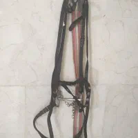 دهنه اسب زیبا وچرم مرغوب|اسب و تجهیزات اسبسواری|قزوین, |دیوار