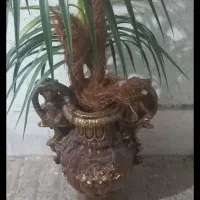 گلدان طبیعی و مصنوعی و تابلو