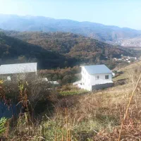 زمین ییلاقی با ویو ابدی|فروش زمین و ملک کلنگی|امامزاده عبدالله, |دیوار